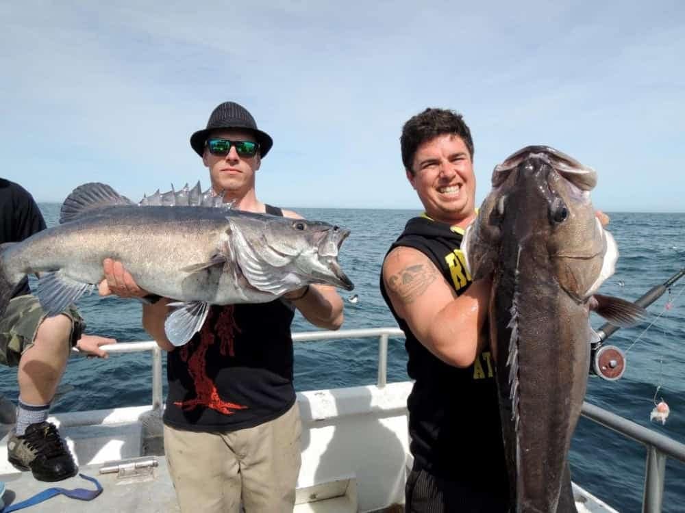 kaikoura_fishing_charters_tours-and-groper-trips | Must Do New Zealand | Must Do New Zealand