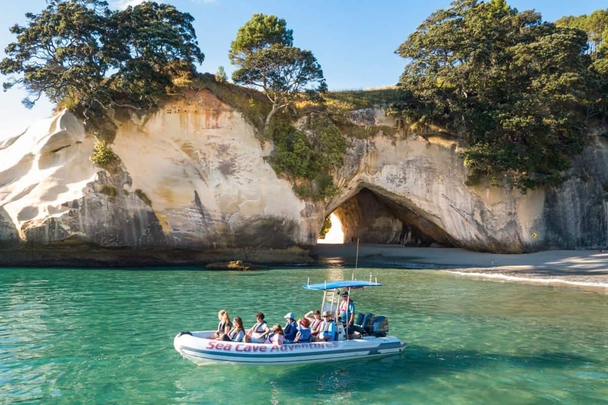 boat-tours-whitianga-coromandel-sea-cave-adventures-feature-1 | Must Do New Zealand | Must Do New Zealand