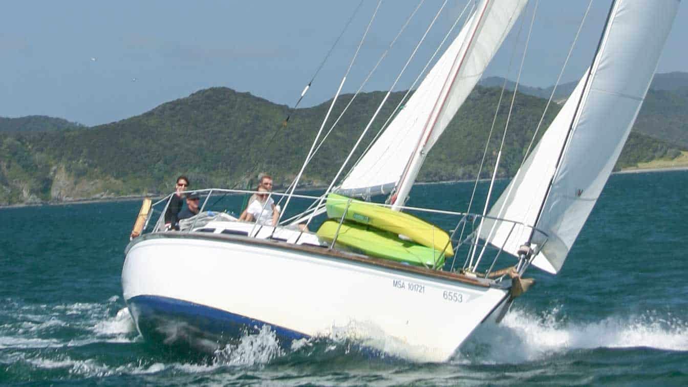 Sail-bay-of-islands-she's-a-lady-charters-16 | Must Do New Zealand | Must Do New Zealand