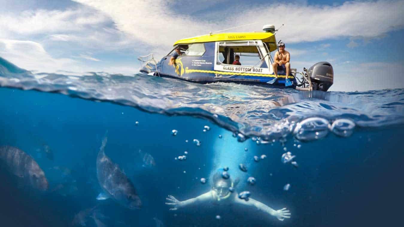 Glass-Bottom-boat-tours-whitianga-coromandel-23a | Must Do New Zealand | Must Do New Zealand
