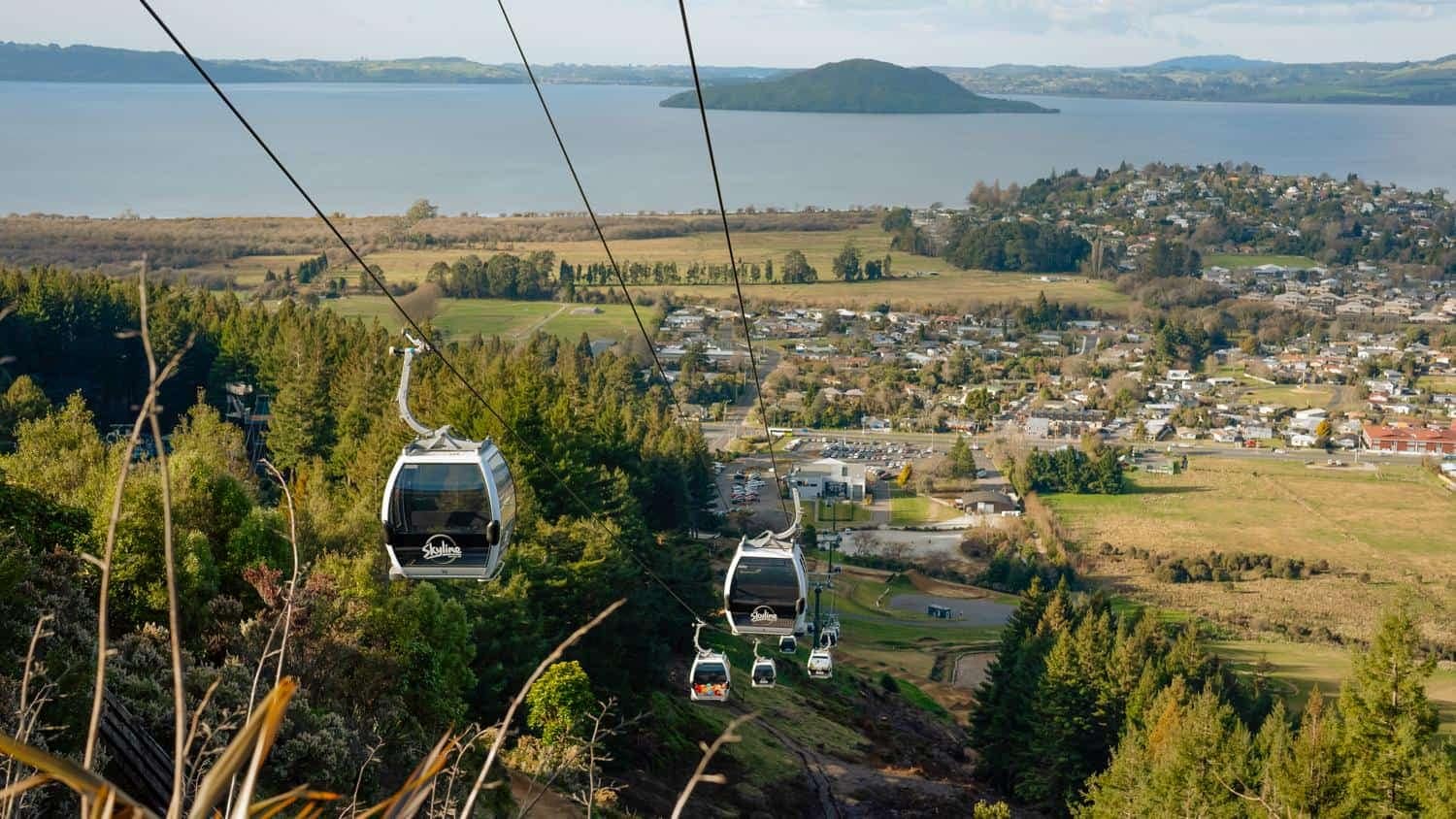 Sktline-Rotorua-activities-15 | Must Do New Zealand | Must Do New Zealand Rotorua Skyline Gondola and luge activities overlooking Lake Rotorua