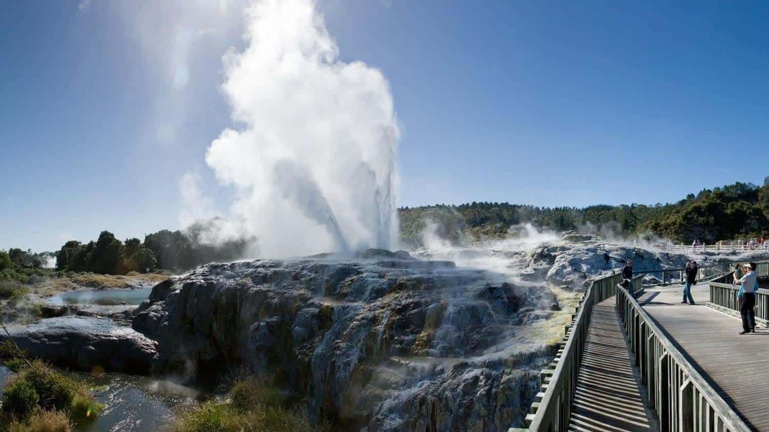 expedigo-auckland-tours-20 | Must Do New Zealand | Must Do New Zealand
