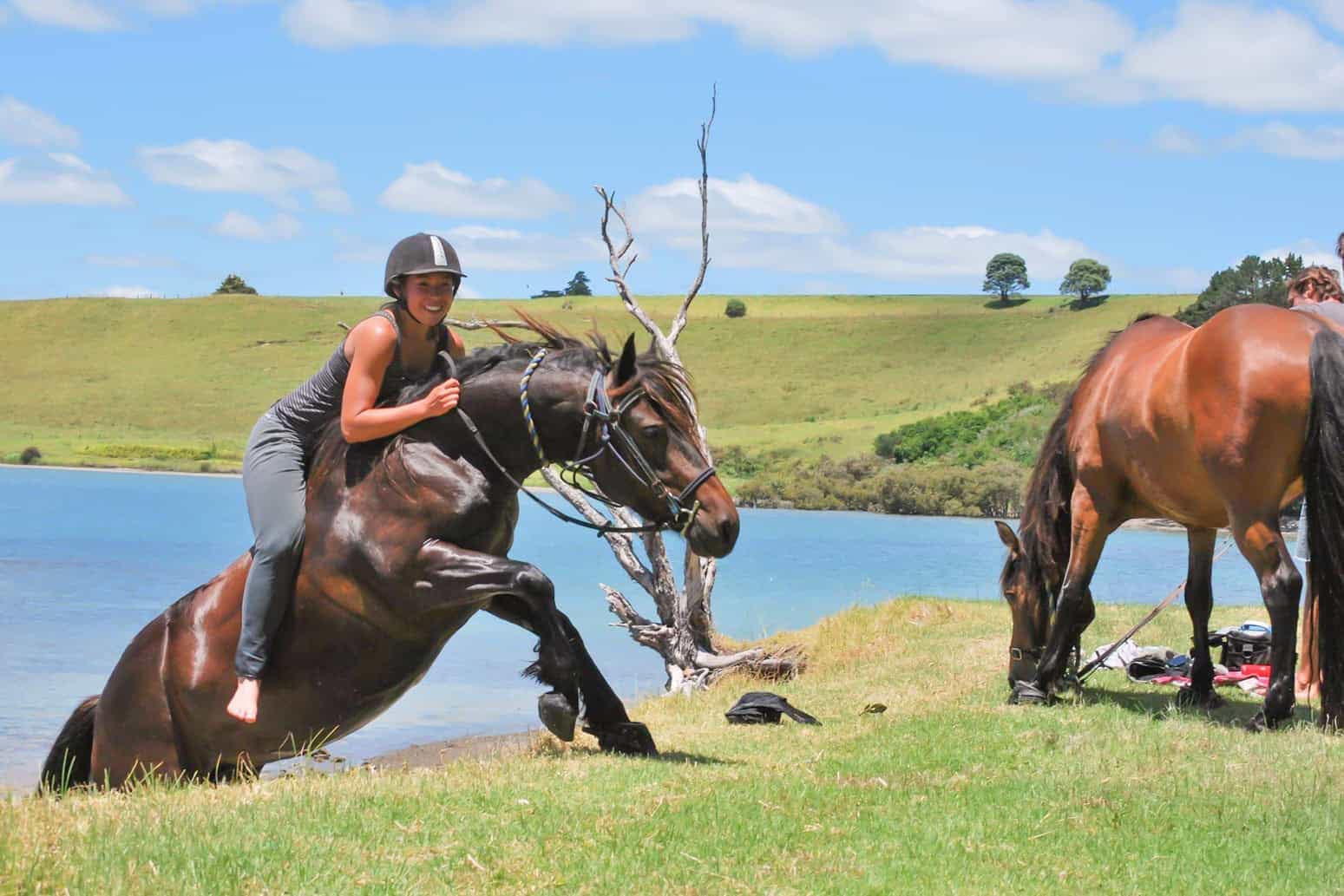horse-treks-and-horse-rides-paihia-bay-of-islands-feature-1 | Must Do New Zealand | Must Do New Zealand