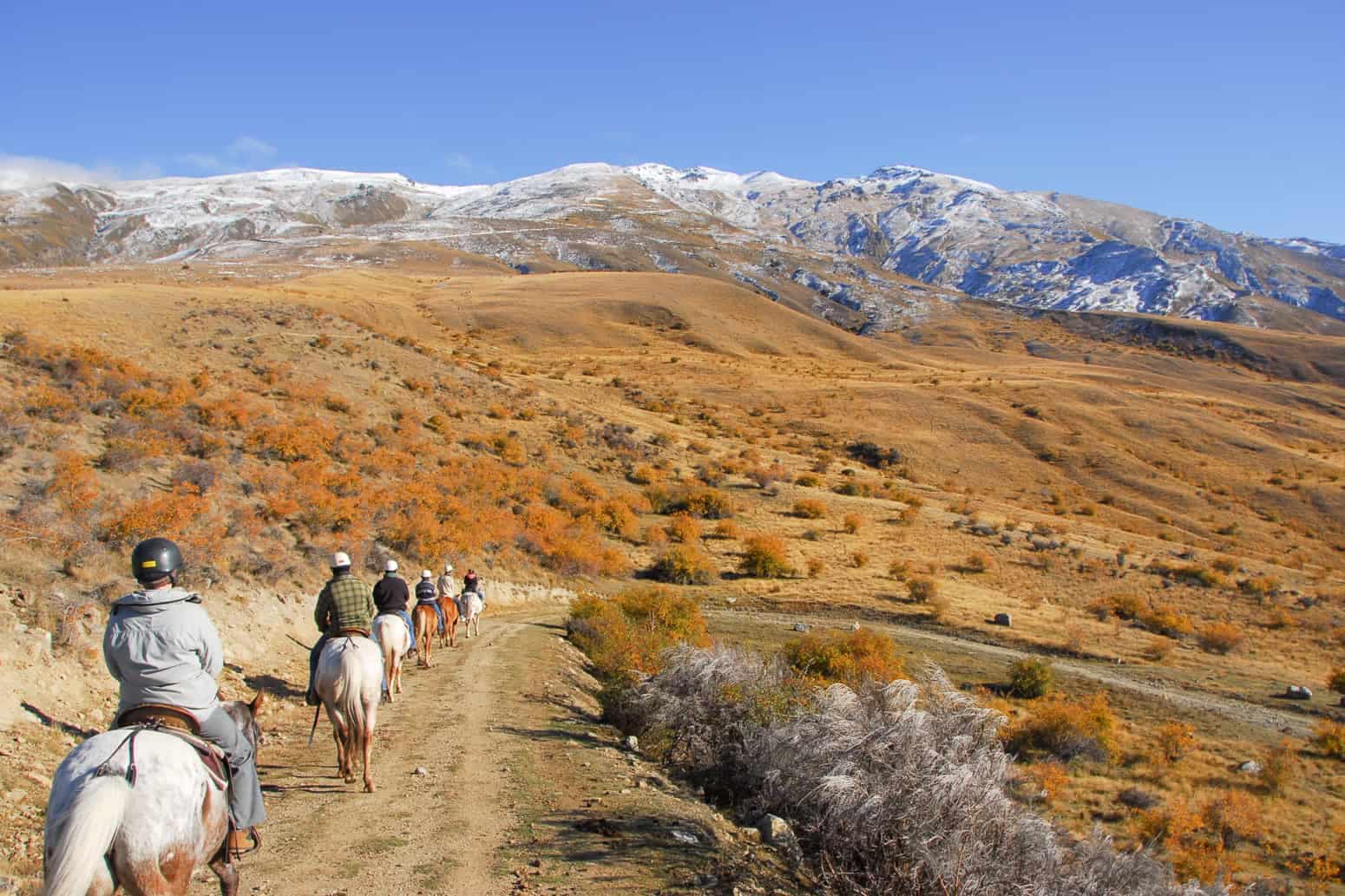 Backcountry-saddles-horse-trekking-in-the-cardrona-valley-feature-1 | Must Do New Zealand | Must Do New Zealand