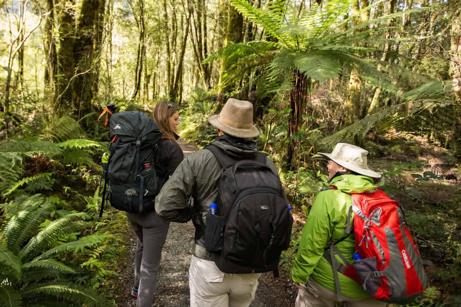 Trips-and-tramps-Milford-track-day-walk-42 | Must Do New Zealand | Must Do New Zealand
