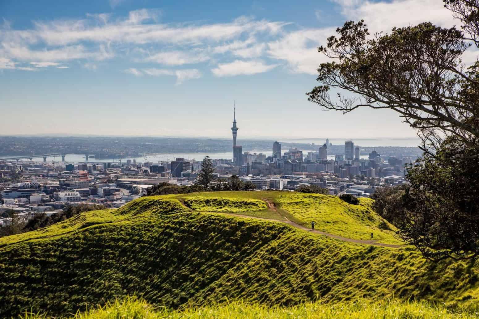 Auckland-Volcanic-Guided-Tours-15 | Must Do New Zealand | Must Do New Zealand