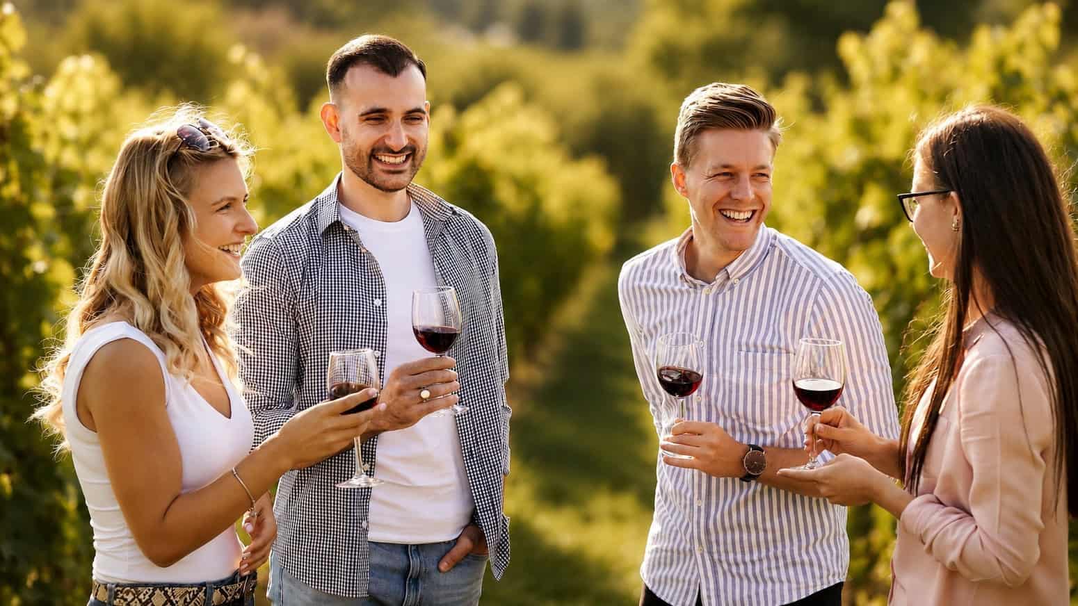 Bay of islands wine tours-15 | Must Do New Zealand | Must Do New Zealand Four friends in a vineyard share wine and laugh together outdoors, each holding a glass of red wine.