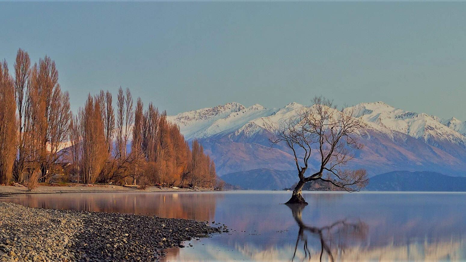 Scenic-tours-queenstown-arrowtown-wanaka-Remarkable-scenic-tours-15 | Must Do New Zealand | Must Do New Zealand Picture of the lone tree at lake wanaka