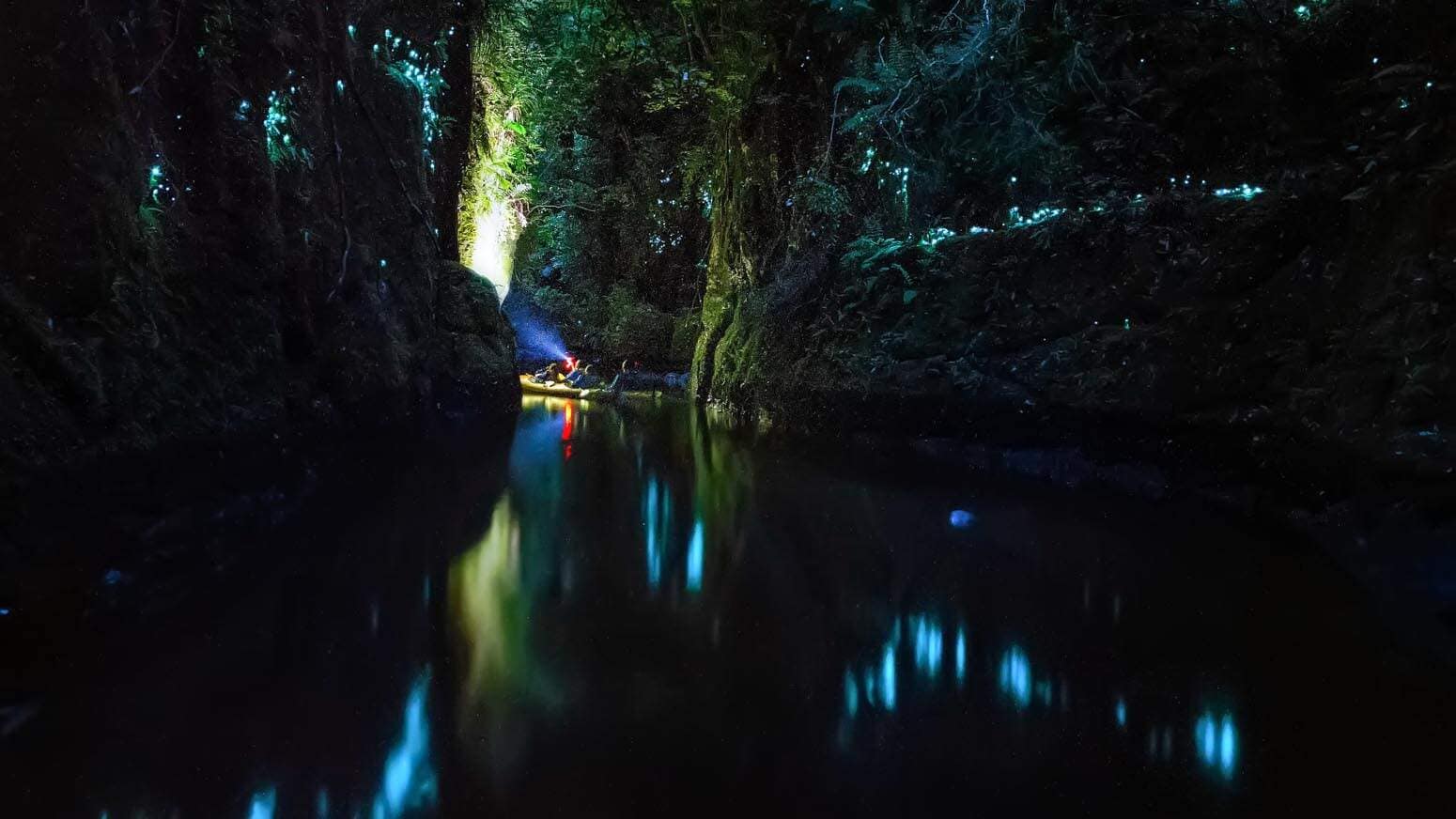 Waimarino-kayak-tours-rotorua-15 | Must Do New Zealand | Must Do New Zealand