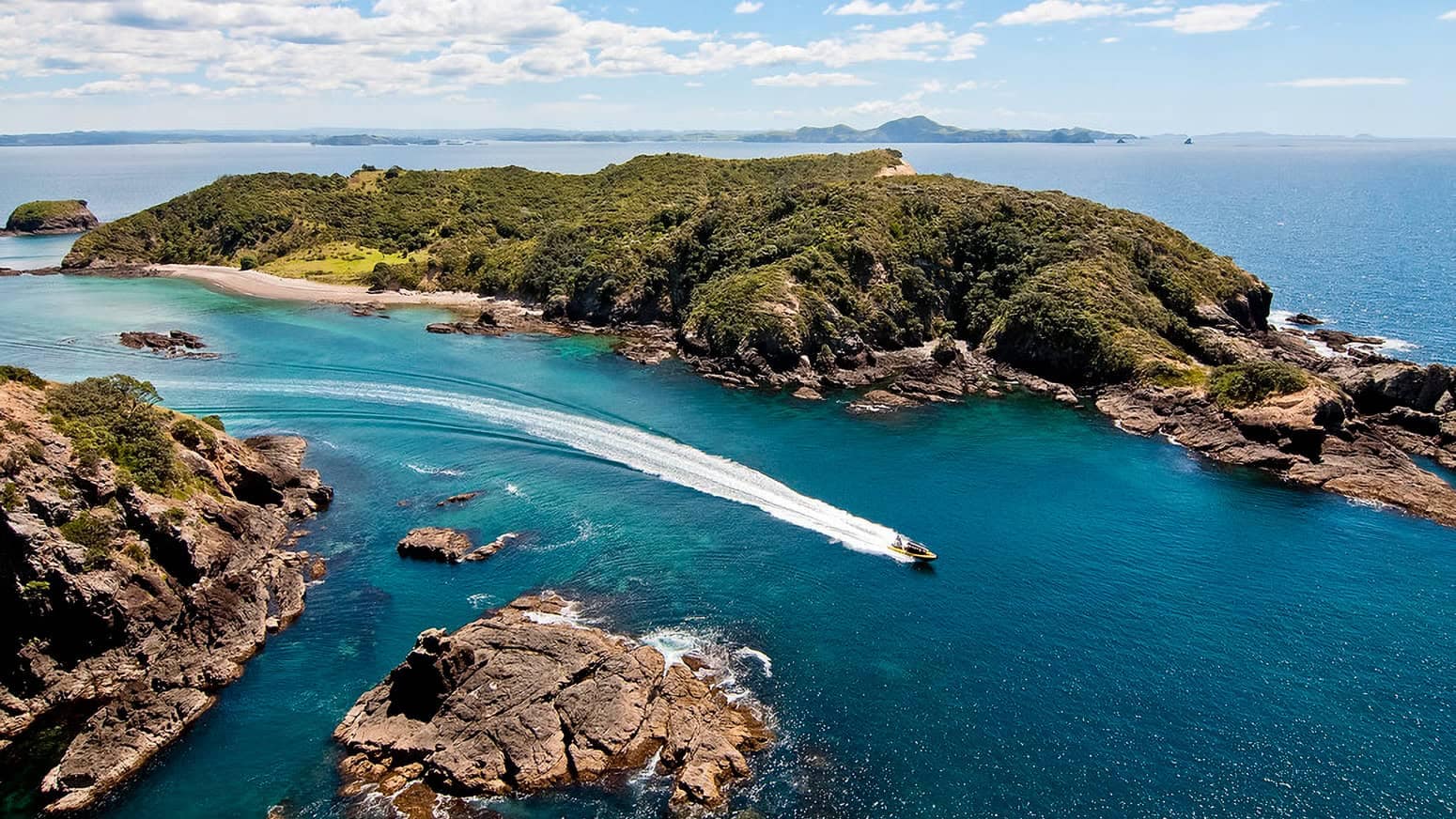 Fullers-Hole-in-the-rock-17 | Must Do New Zealand | Must Do New Zealand