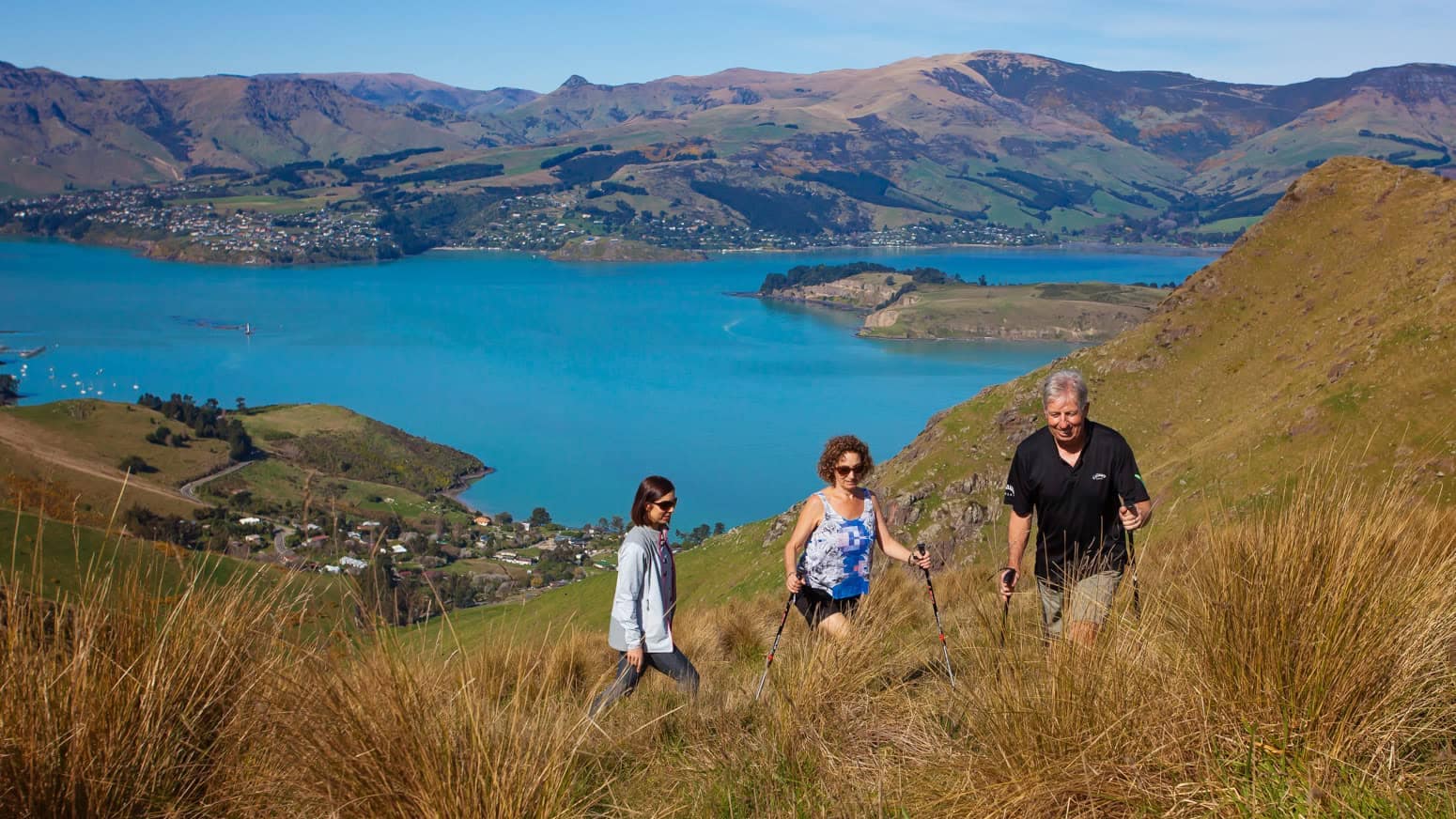 Crater-Rim-guided-Walks-Banks Peninsular, christchurch-tours-15 | Must Do New Zealand | Must Do New Zealand