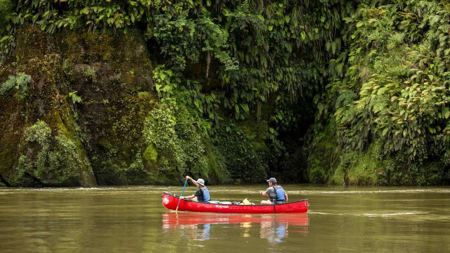 Whanganui-River-Canoe-guided-Trips-day-and-multi-day-15 | Must Do New Zealand | Must Do New Zealand