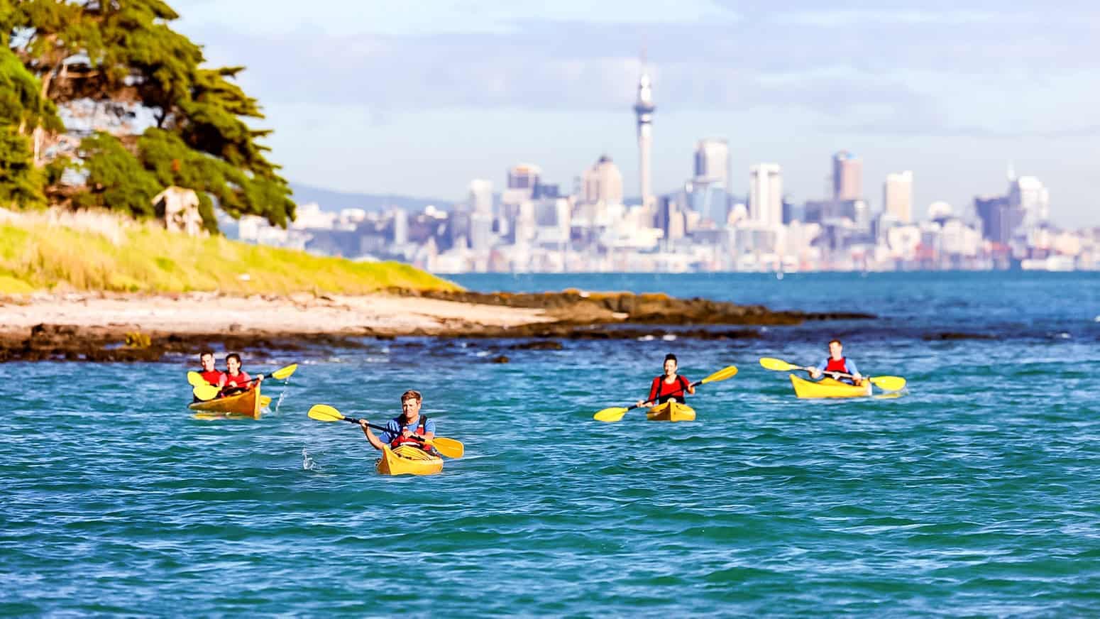 auckland-sea-kayaks-tours-feature-1 | Must Do New Zealand | Must Do New Zealand