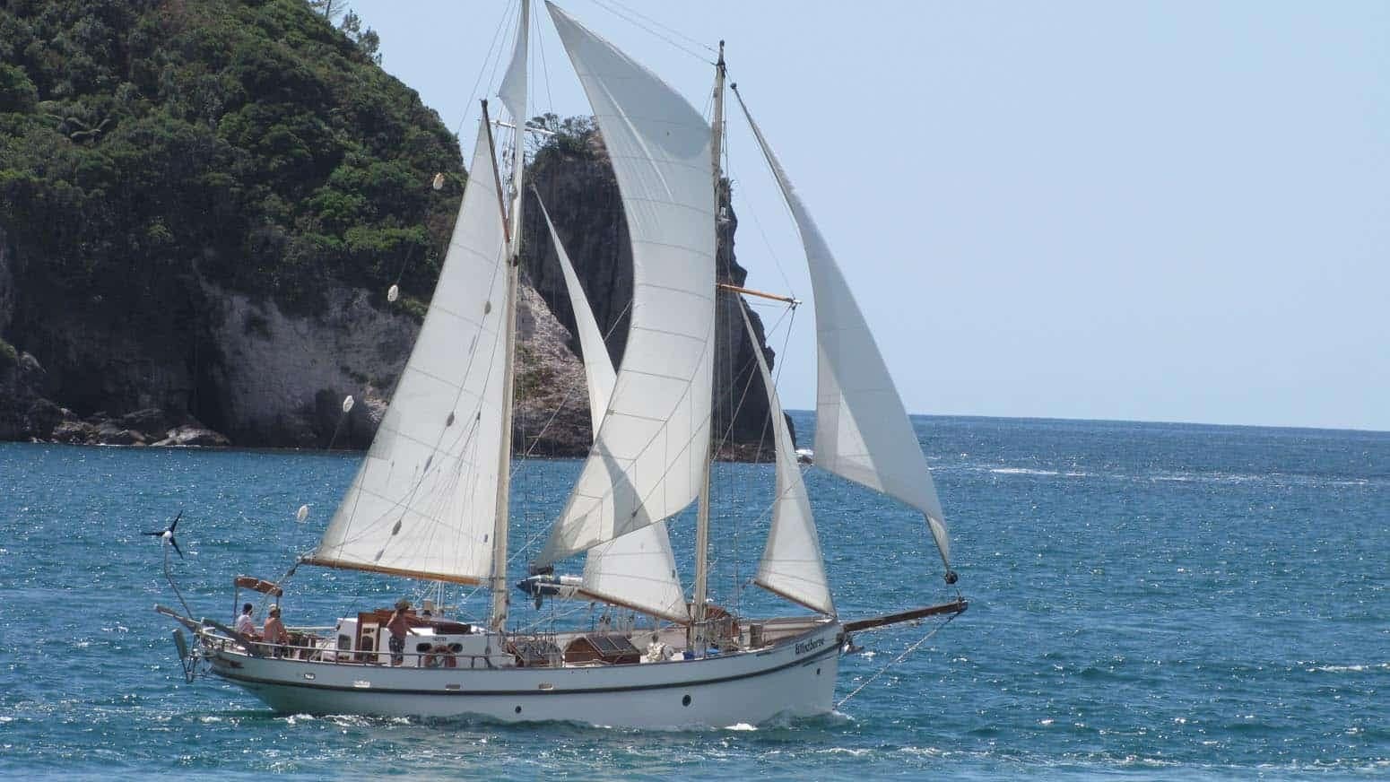Sailing-trips-whitianga-Coromandel-44 | Must Do New Zealand | Must Do New Zealand