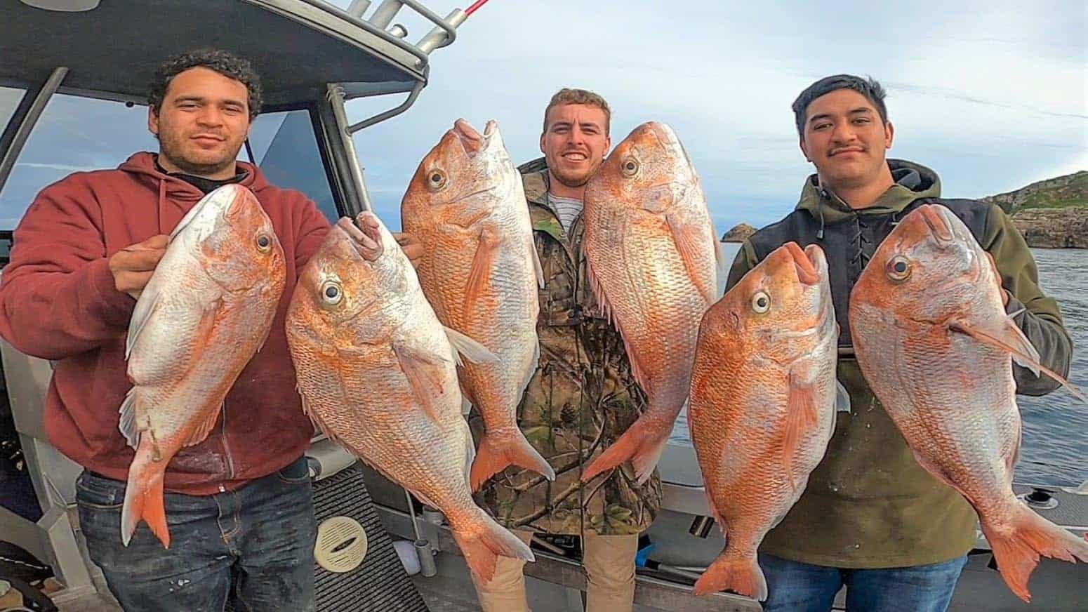 Auckland-Fishing-Charters-Snapper-and-Kingfish-15 | Must Do New Zealand | Must Do New Zealand