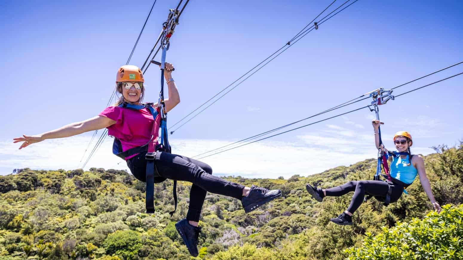 EcoZip waiheke Island-20 | Must Do New Zealand | Must Do New Zealand