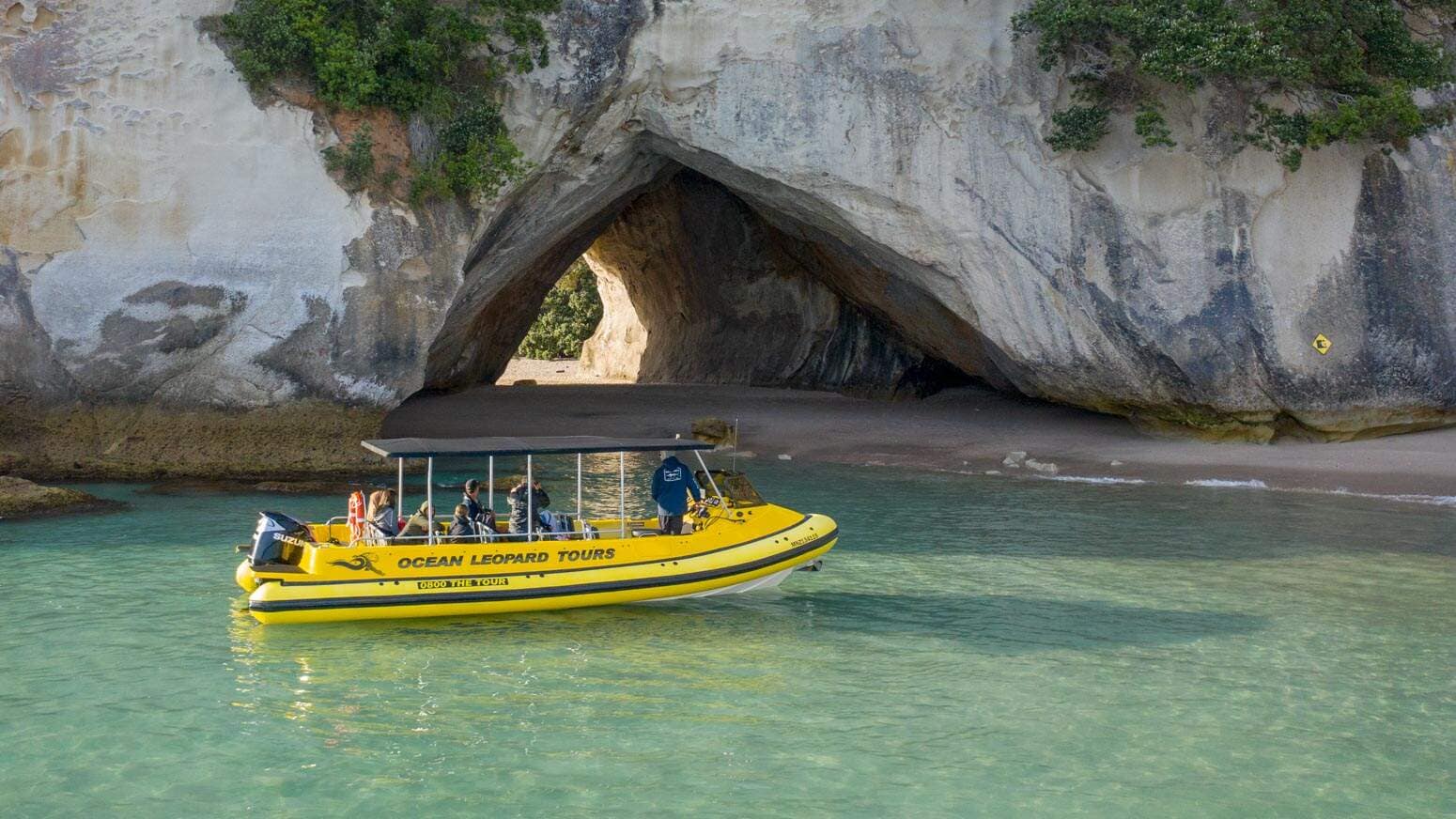 Ocean=leopard-boat-tours-whitianga-coromandel-15 | Must Do New Zealand | Must Do New Zealand