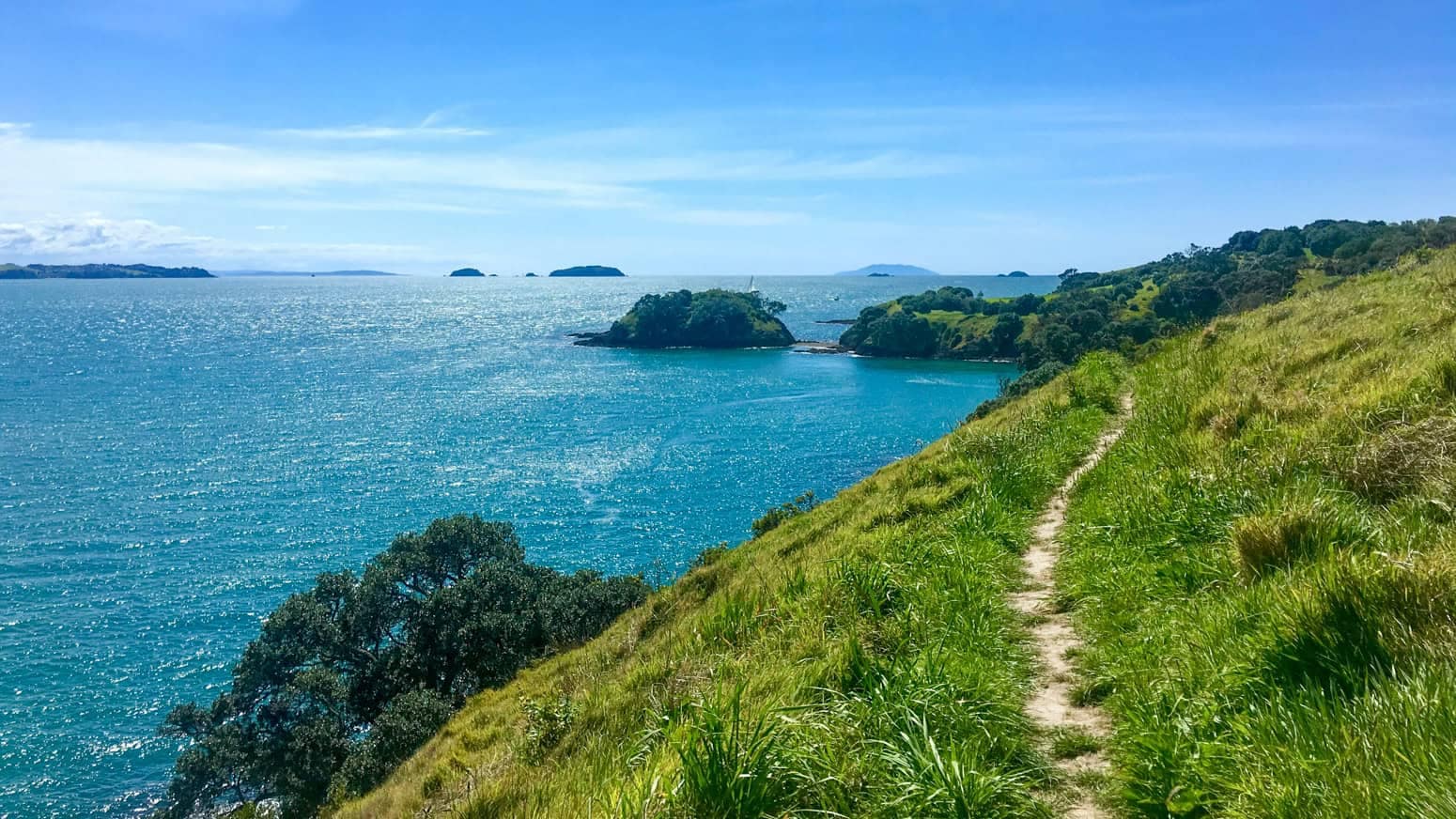 Free-things-to-do-on-waiheke-island-15 | Must Do New Zealand | Must Do New Zealand