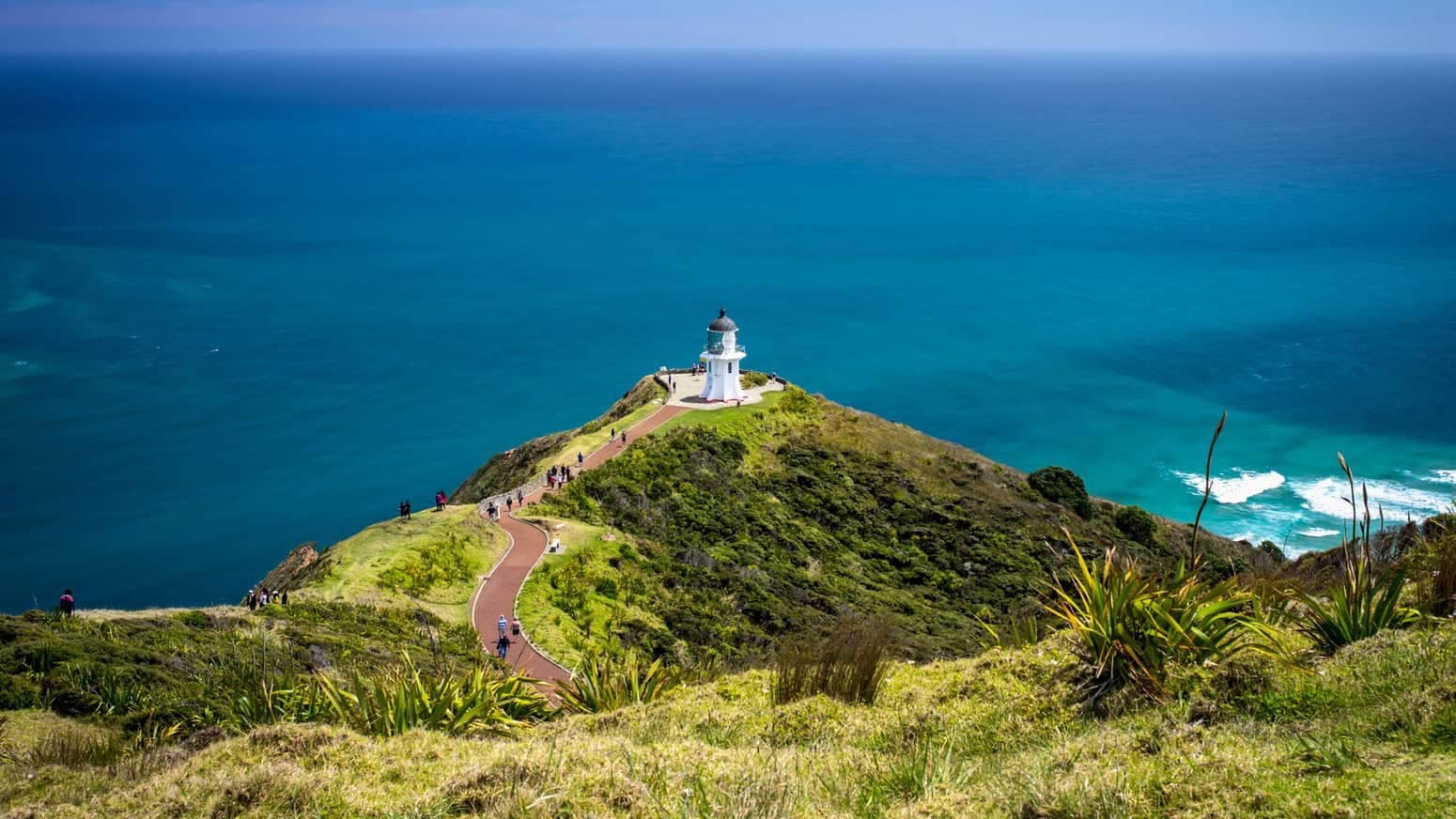 Cape-Reinga-Mullarkey-tours-15 | Must Do New Zealand | Must Do New Zealand White lighthouse on a grassy headland with a winding path and visitors, overlooking a blue ocean.