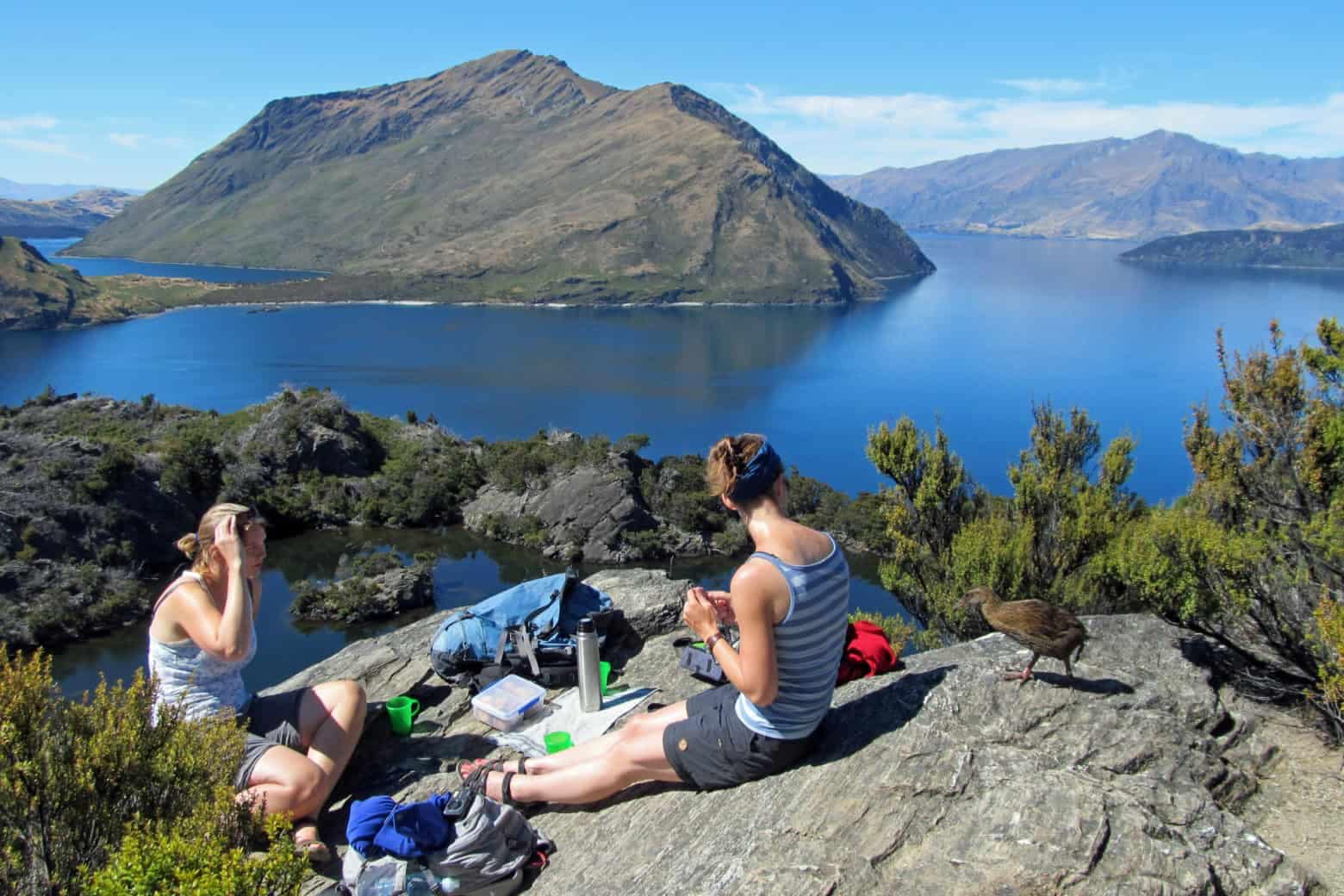 Eco-Wanaka-guided-nature-tours-Mou-Waho-island | Must Do New Zealand | Must Do New Zealand