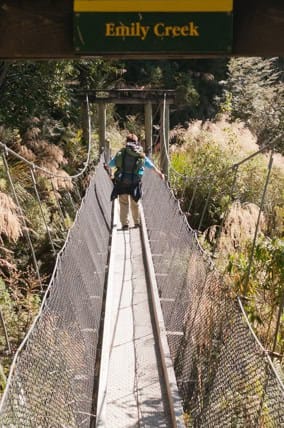 Routeburn-Track-en-route-to-Routeburn-Falls-Hut-6 | Must Do New Zealand Routeburn-Track-en-route-to-Routeburn-Falls-Hut-6