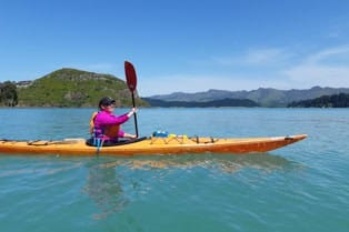 day-tours-christchurch-adventure-by-nature-menu-5 | Must Do New Zealand