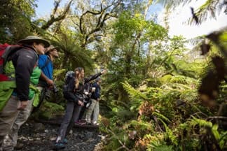 Trips-and-tramps-kepler-track-day-walk-21 | Must Do New Zealand