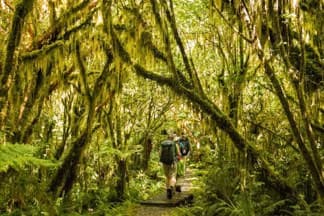 Trips-and-tramps-milford-track-day-walk-11 | Must Do New Zealand