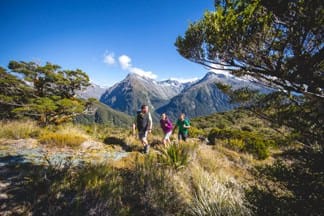 Trips-and-tramps-milford-track-day-walk-16 | Must Do New Zealand