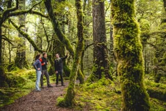 Trips-and-tramps-milford-track-day-walk-8 | Must Do New Zealand