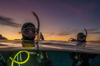 Goat-Island-scuba-dive-snorkel-trips-Leigh-Aukland-23 | Must Do New Zealand