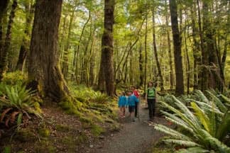Kepler-track-guided-day-walk-27 | Must Do New Zealand