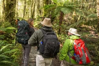 Milford-Sound-guided-day-walk-22 | Must Do New Zealand