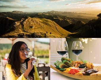 wine-tours-Hawkes-Bay-15 | Must Do New Zealand