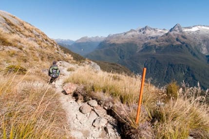 Routeburn-Track-Hollyford Valley-17 | Must Do New Zealand Routeburn-Track-Hollyford Valley-17