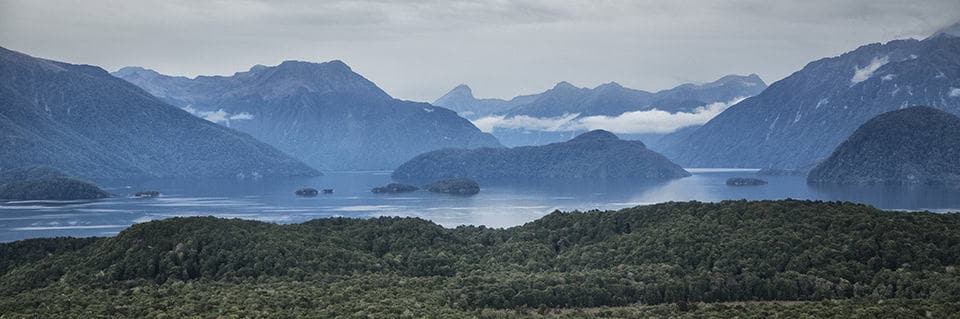 Fiordland Guided Day Walks Milford Kepler track & Routeburn | Must Do New Zealand Fiordland Guided Day Walks Milford Kepler track & Routeburn