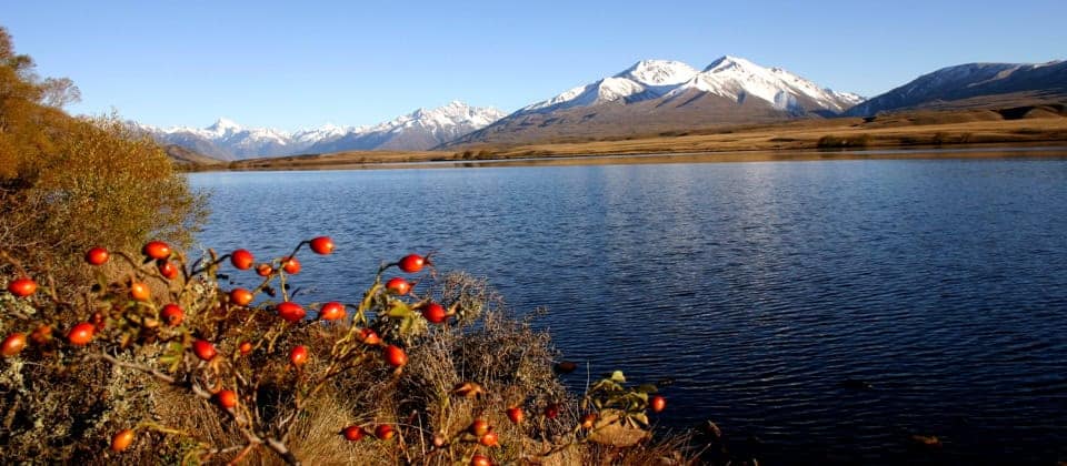 Things-to-do-methven-18 | Must Do New Zealand | Must Do New Zealand