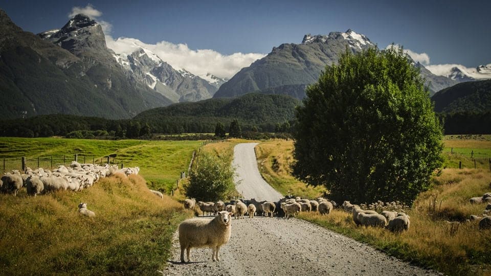 Queenstown-photography-tours-workshops-1 | Must Do New Zealand